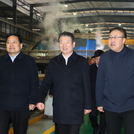 林州市委书记王宝玉一行到59白菜专区论坛考察指导