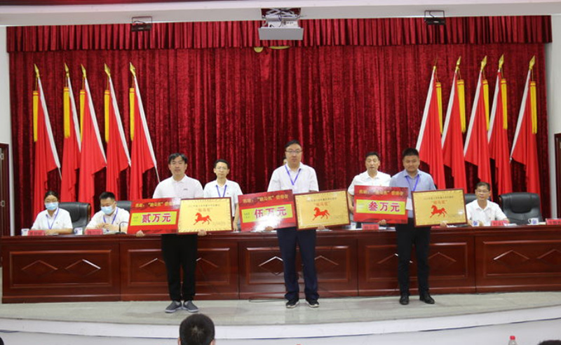 项目为王，公司喜获重点项目建设“骏马奖”
